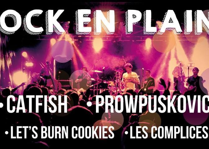 Bac FM partenaire du festival Rock En Plaine