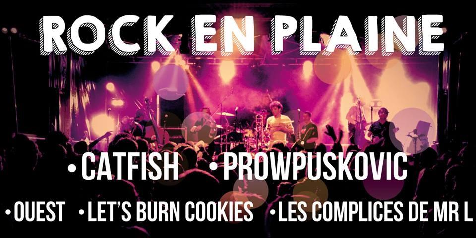 Bac FM partenaire du festival Rock En Plaine